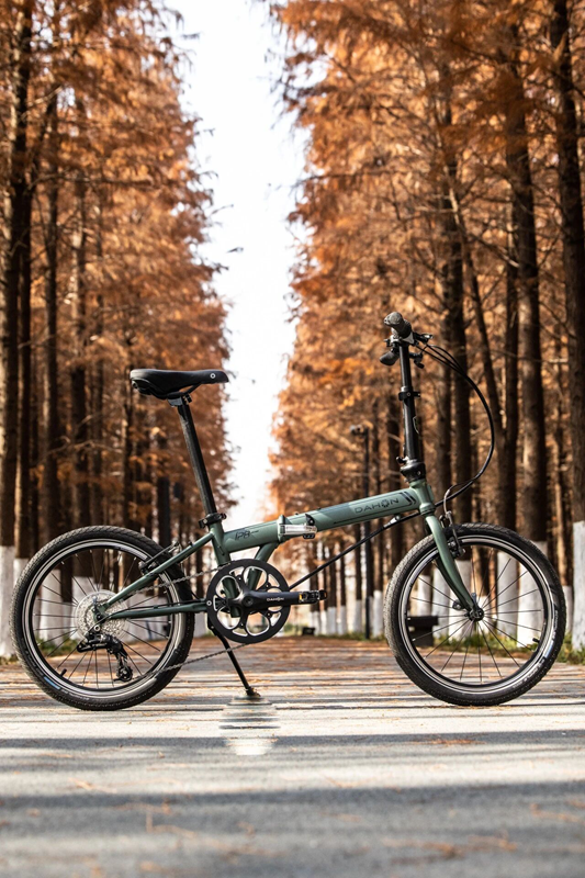 DAHON P81.png