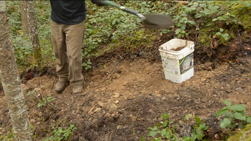 �޽�ɽ�س�����