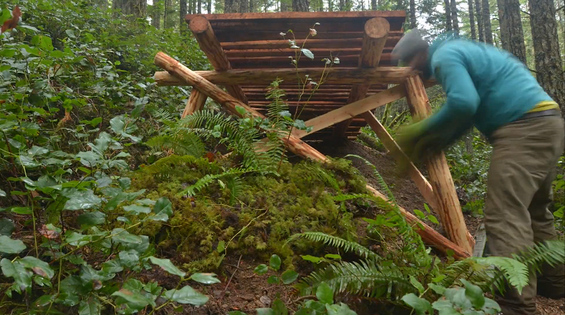 �޽�ɽ�س�����