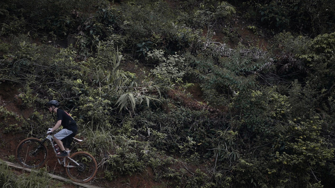 LJL_3901_mr1622036512523.jpg LJL_3901_mr1622036512523.jpg