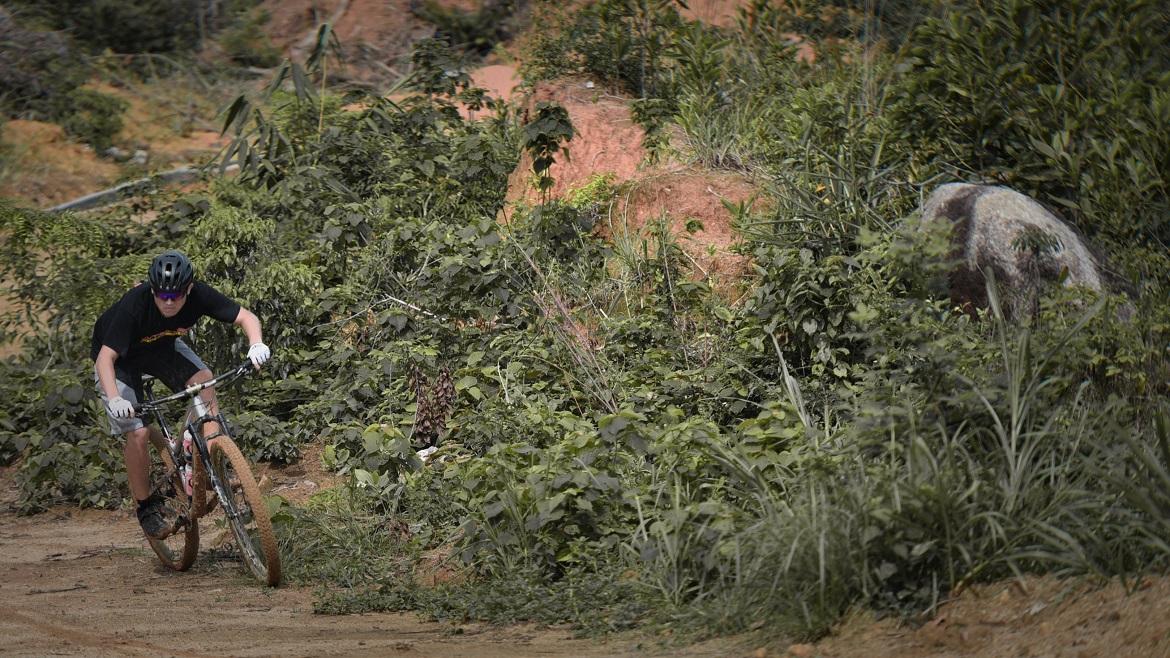 LJL_3953_mh1622080684280.jpg LJL_3953_mh1622080684280.jpg