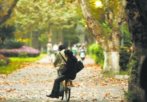 ����܇��MM