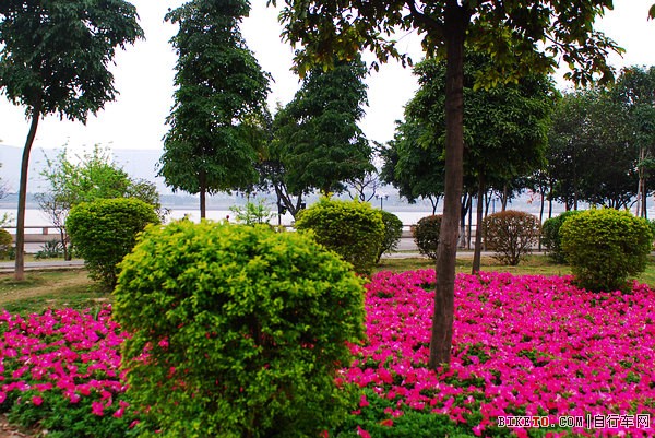 �����̵�