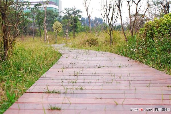 �����̵�