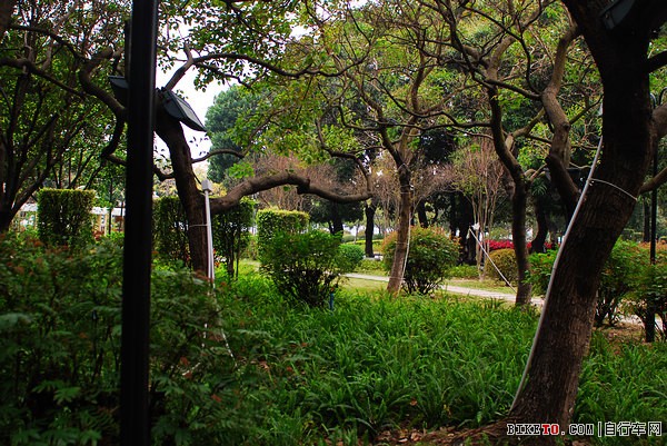 �����̵�