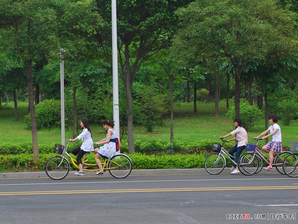 ���ݴ�ѧ��