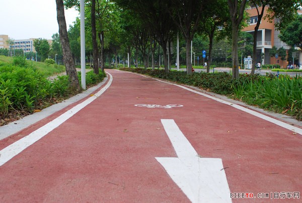 ���ݴ�ѧ��