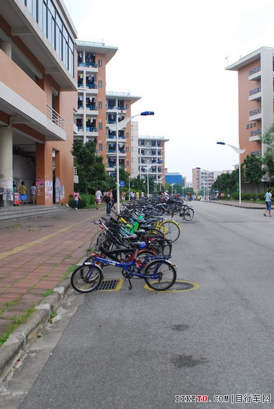 ���ݴ�ѧ��