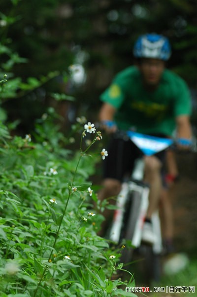 ���ݴ�ѧ��