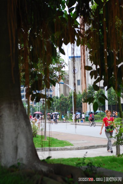 ���ݴ�ѧ��