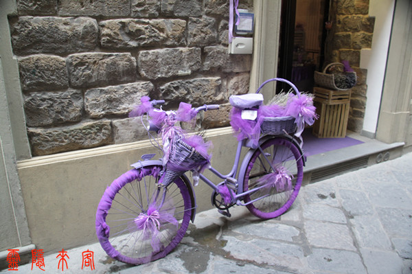 欧洲的自行车