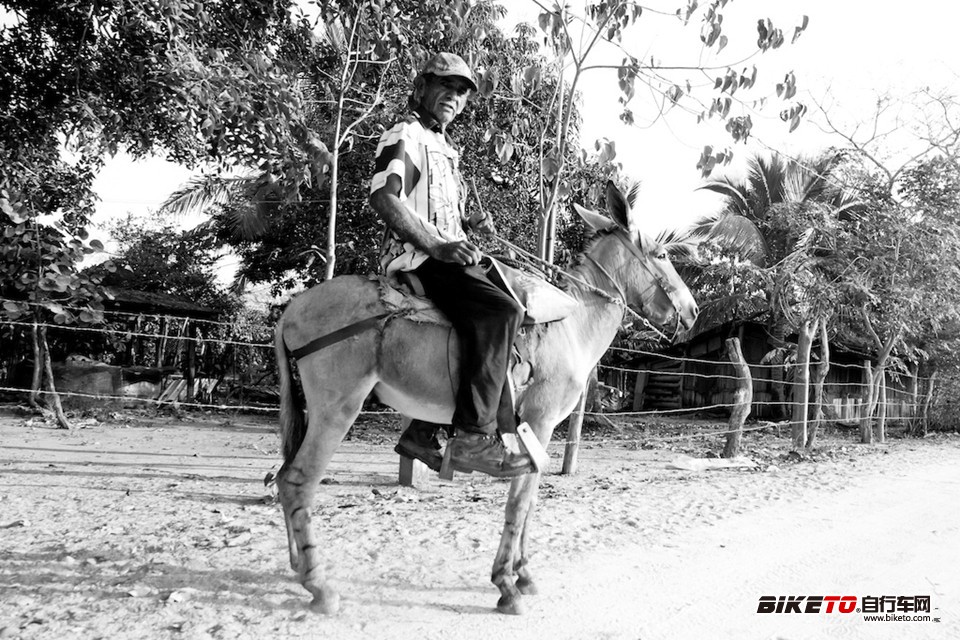 ī����С����ĵ�������