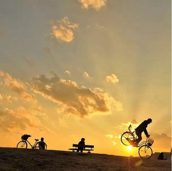 Instagram������ת���г�17