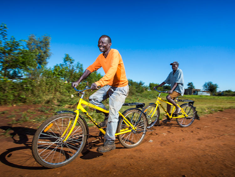 ����������·��