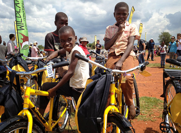 ���޺���