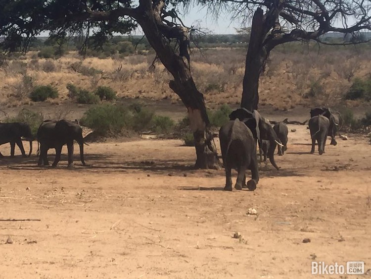 ���д�Խ����5