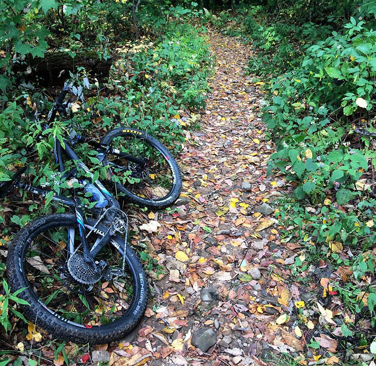 The Hub & Pisgah Tavern