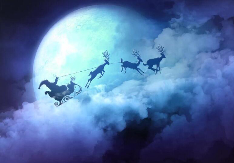 ʥ������