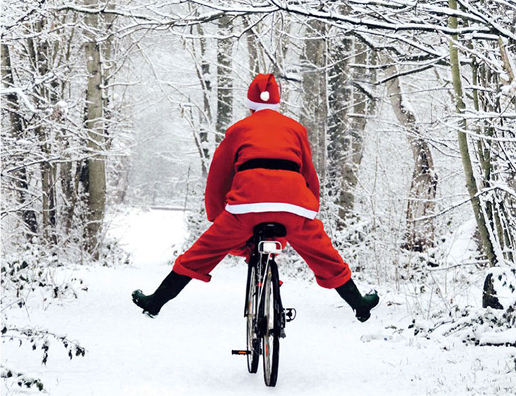 ʥ������