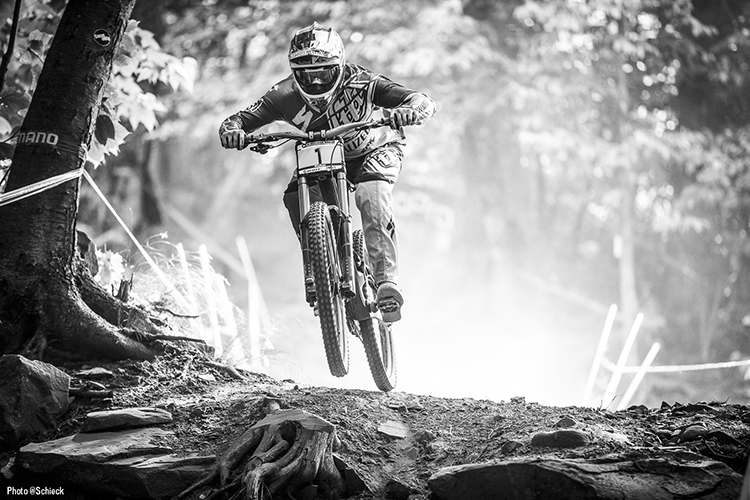 SPECIALIZEDͱ ٽAaron Gwin