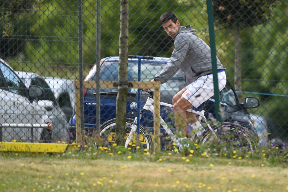 德约科维奇 德约科维奇