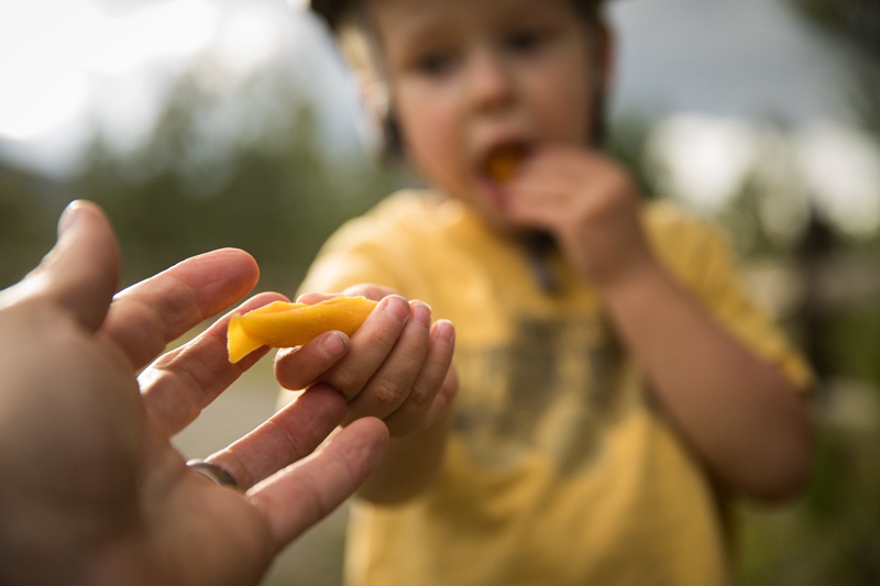 SPECIALIZEDСС�ֵ���