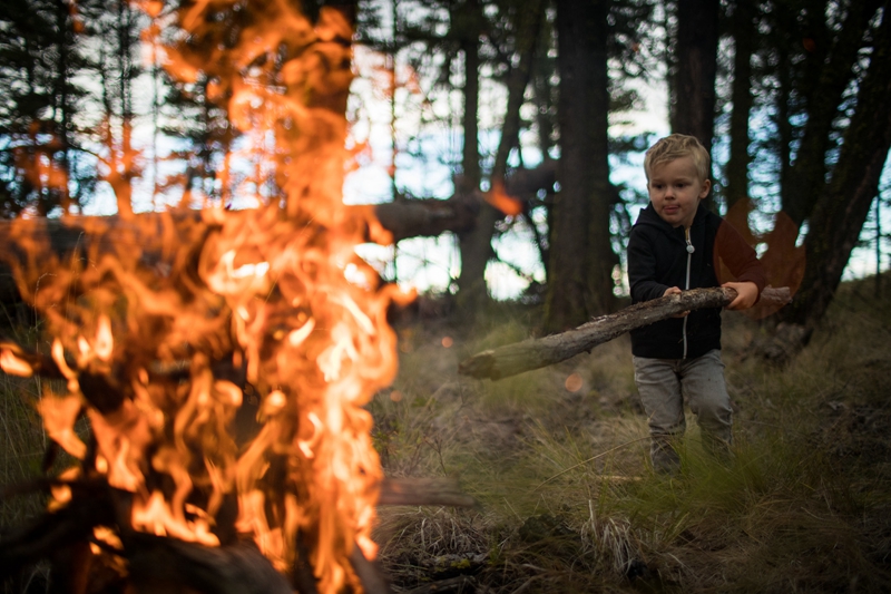 SPECIALIZEDСС�ֵ���