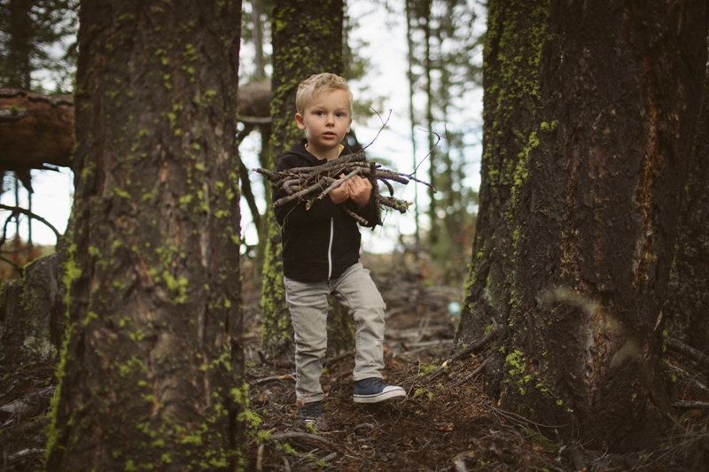 SPECIALIZEDСС�ֵ���