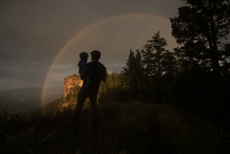 SPECIALIZEDСС�ֵ���