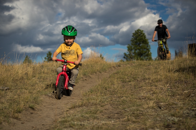 SPECIALIZEDСС�ֵ���