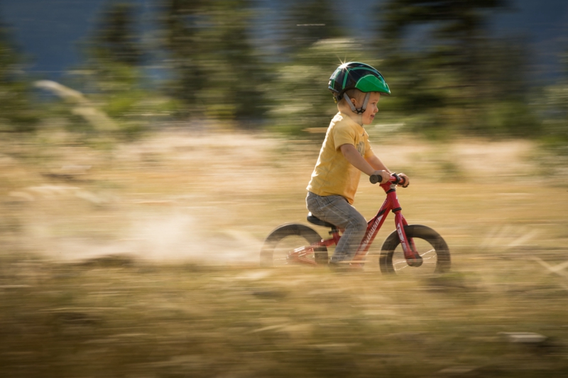 SPECIALIZEDСС�ֵ���