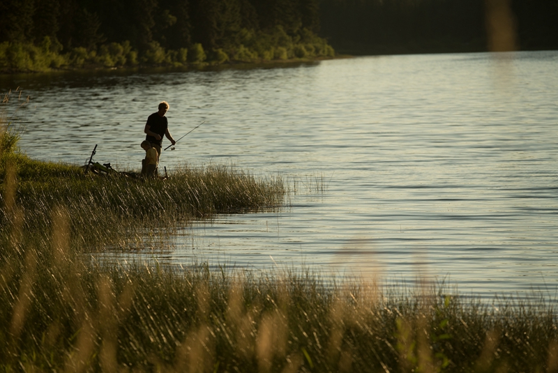 SPECIALIZEDСС�ֵ���