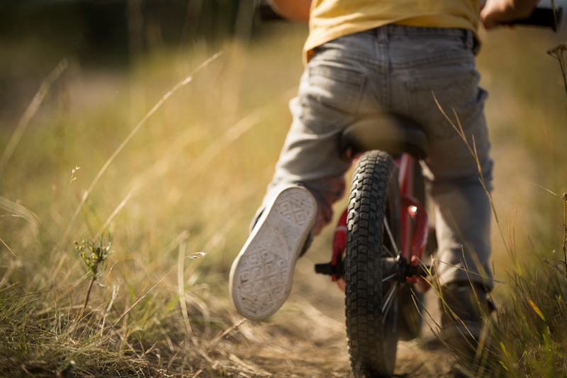 SPECIALIZEDСС�ֵ���