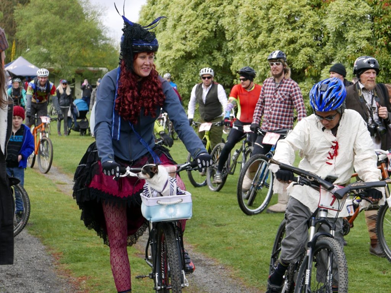 单速车比赛 单速车比赛