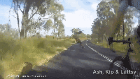 �Ĵ�����