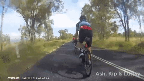 �Ĵ�����