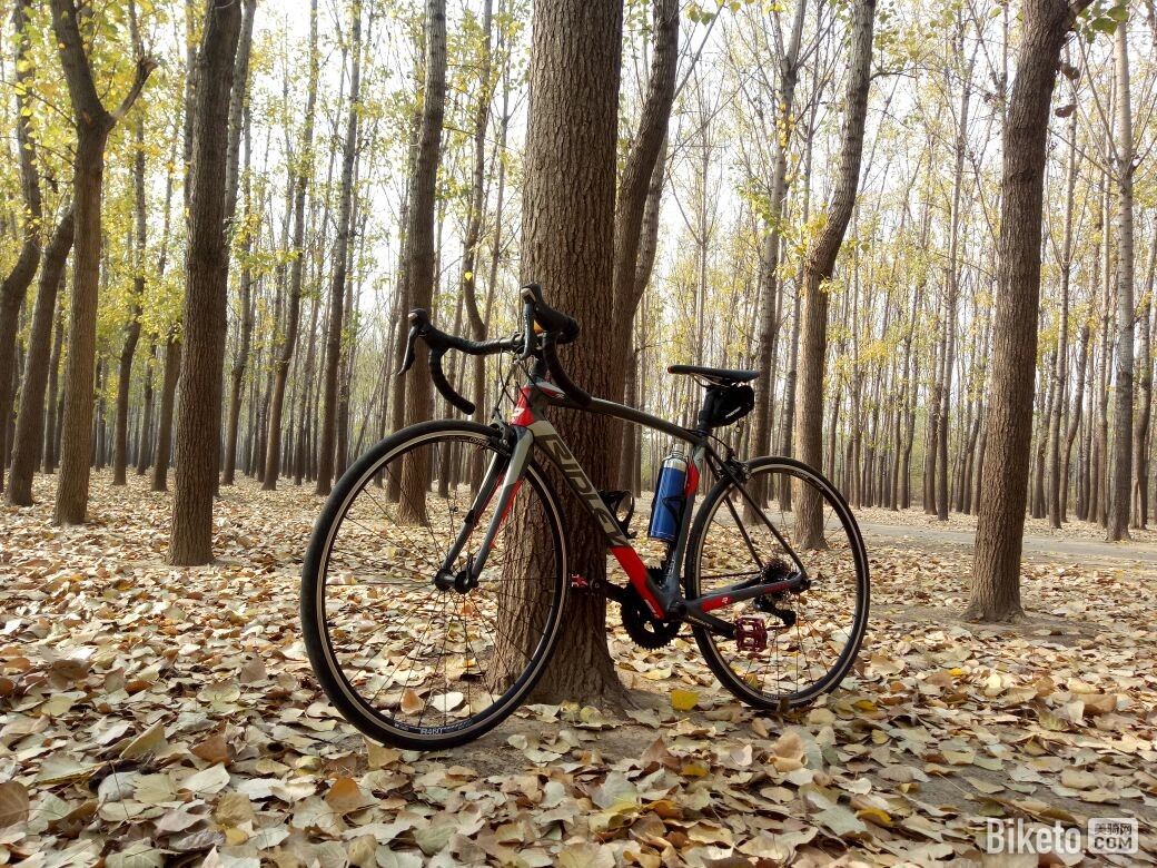 日常骑行Style 日常骑行Style