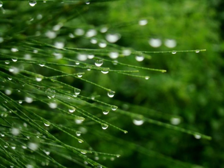 һ������·��