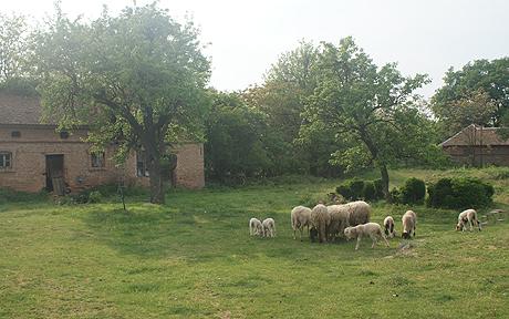 The bicycle diaries: Serbian hospitality