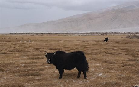 行走在喀喇昆仑公路