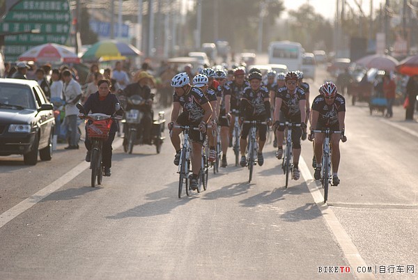 Bicycle Holidays�α���