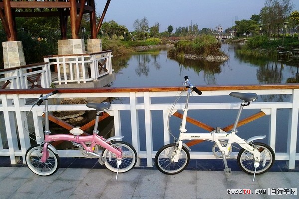 欧亚马小折骑生物岛