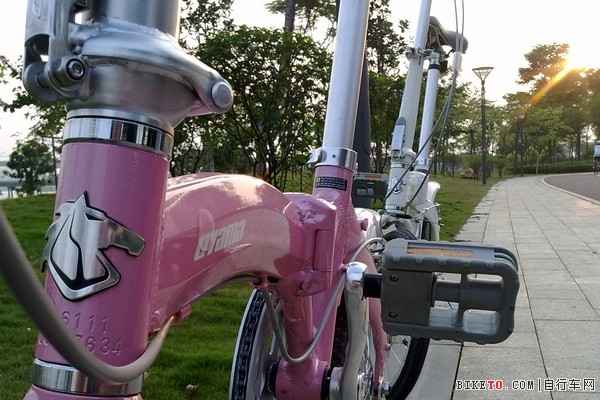 欧亚马小折骑生物岛