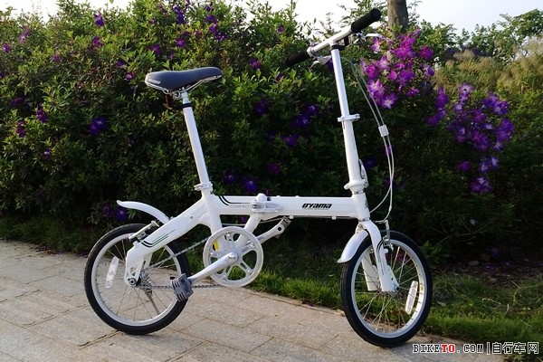 欧亚马小折骑生物岛