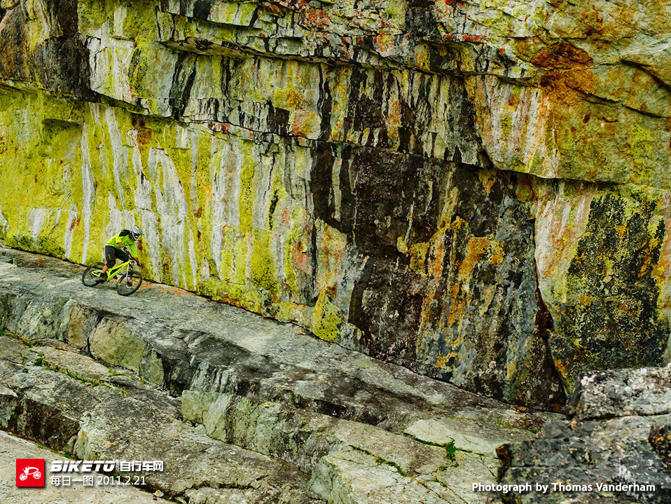 �����ͱ�