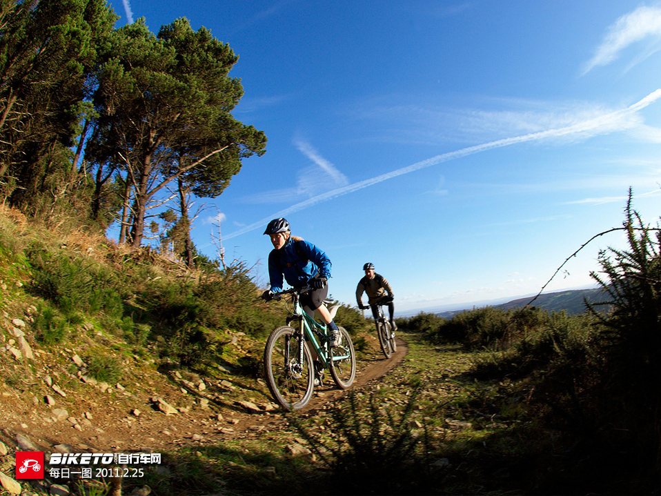 �����˶�����