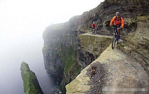 �����ͱ�����