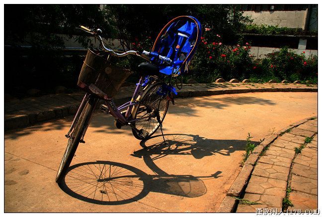 闲拍自行车