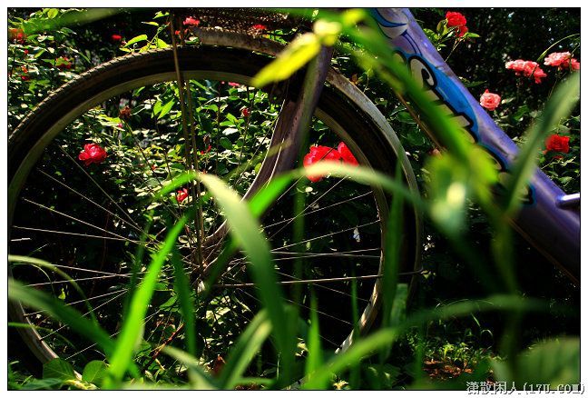 闲拍自行车