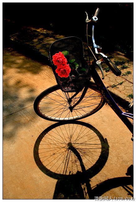 闲拍自行车